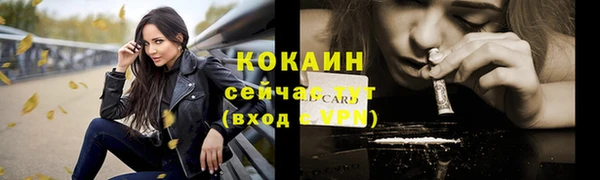 сатива Краснотурьинск