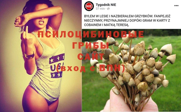 сатива Краснотурьинск