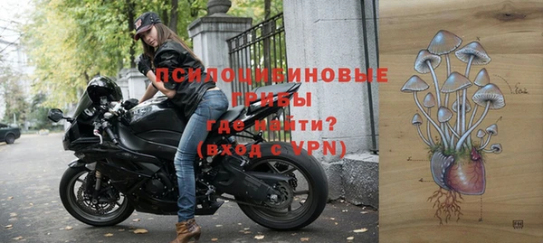 сатива Краснотурьинск