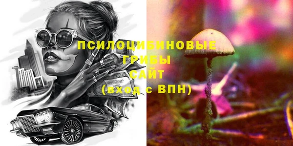 сатива Краснотурьинск