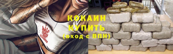 сатива Краснотурьинск