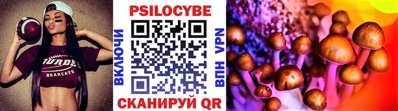 Галлюциногенные грибы прущие грибы  Купить закладки  Межгорье 